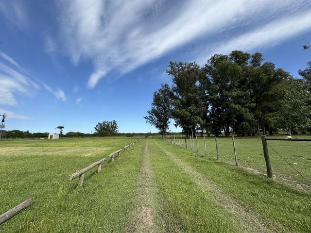 place photo 48
