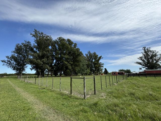 place photo 47