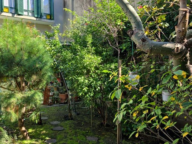place photo 48