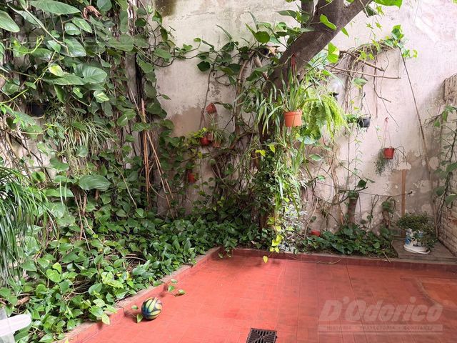 place photo 34