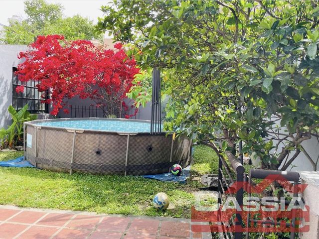 place photo 30