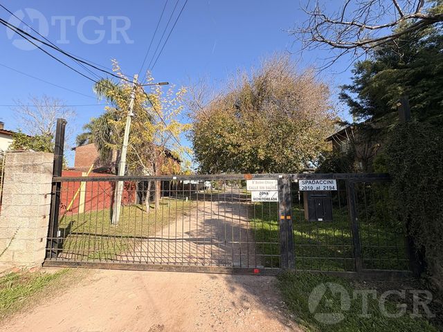 place photo 15