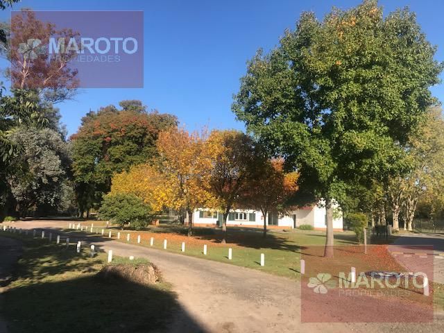 place photo 53