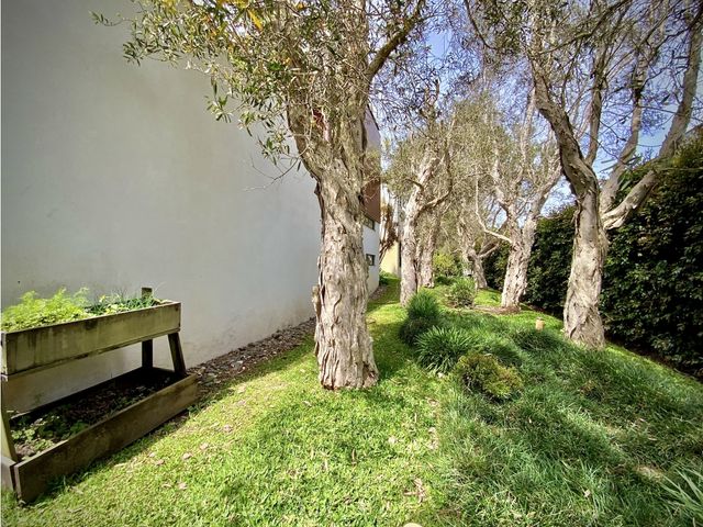 place photo 50
