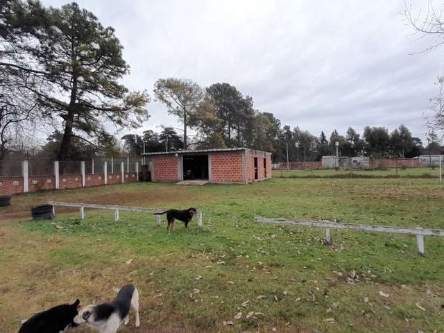 place photo 16