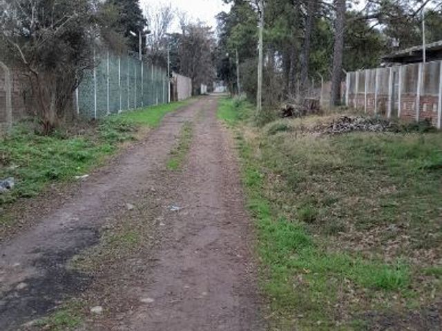 place photo 26