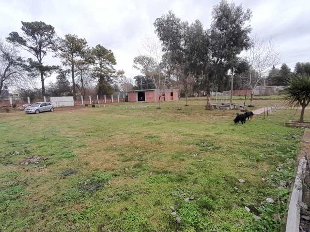 place photo 19