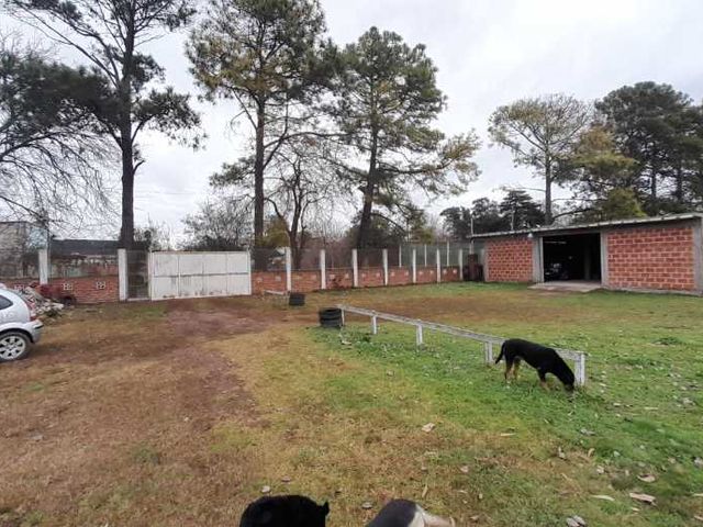 place photo 17