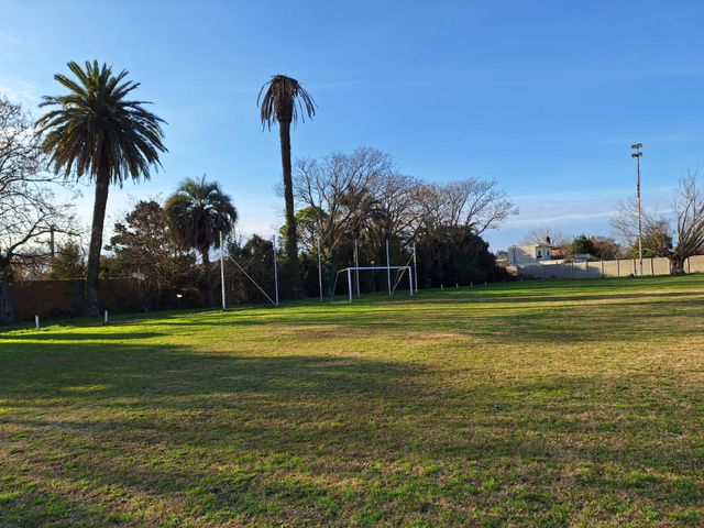 place photo 33