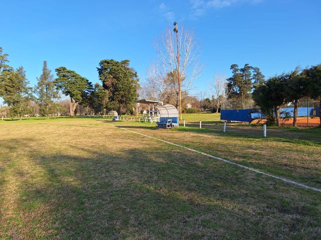 place photo 37
