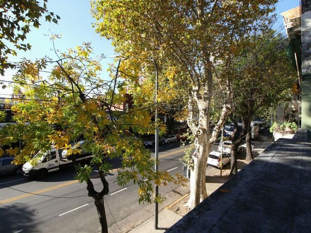 place photo 24