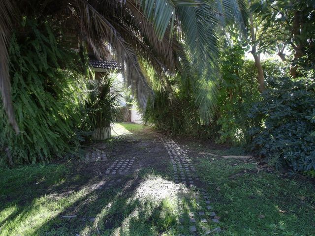 place photo 56