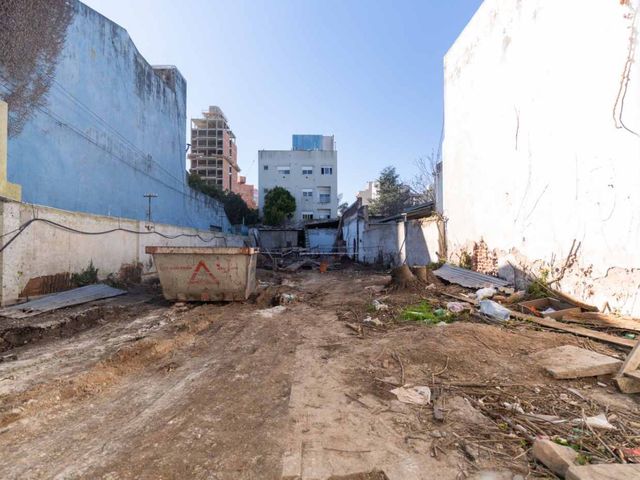 place photo 18