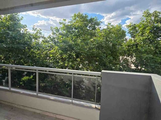 place photo 48