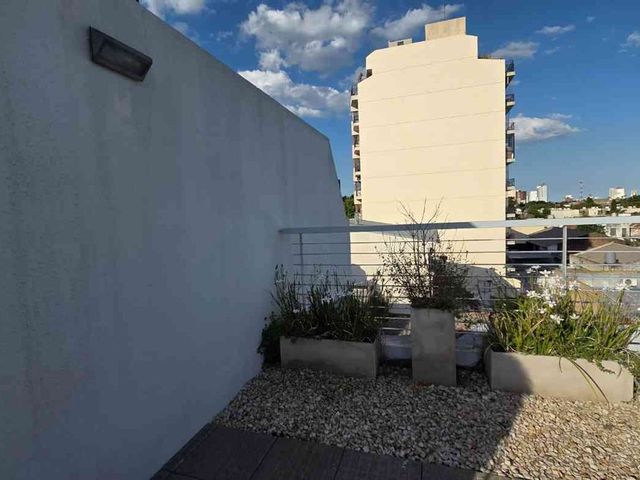 place photo 41