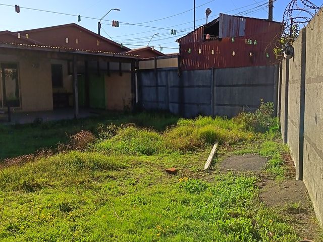 place photo 22