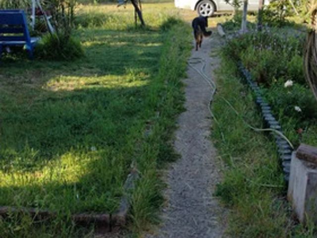 place photo 28