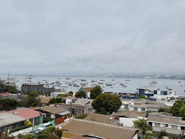 place photo 30