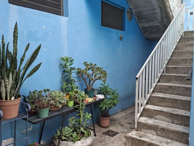 place photo 40