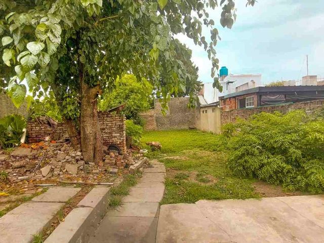 place photo 15