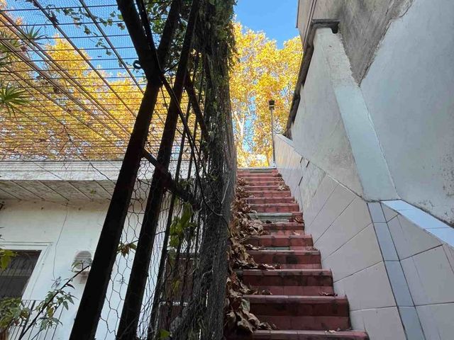 place photo 48