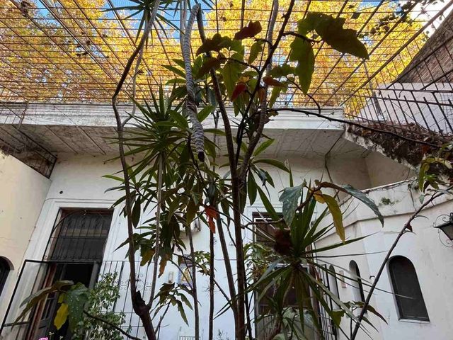 place photo 52