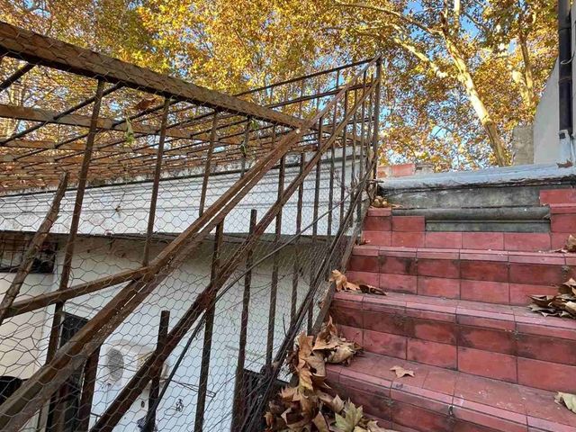 place photo 70