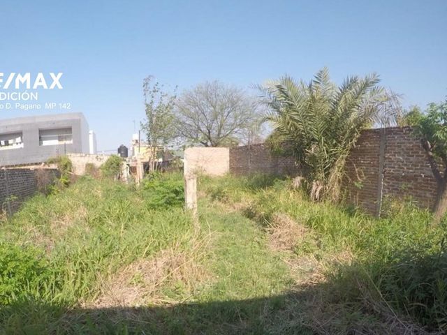 place photo 12