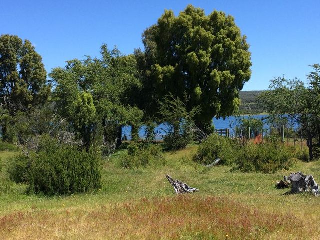 place photo 20
