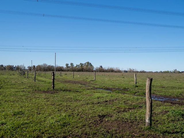 place photo 32