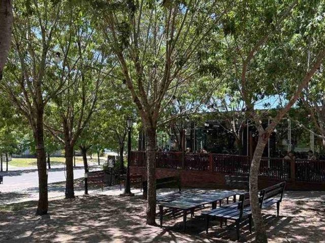 place photo 51