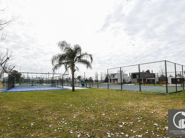 place photo 40