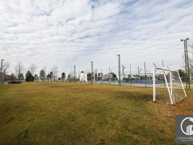 place photo 41
