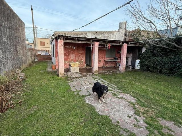 place photo 16