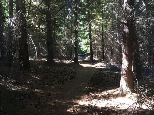 place photo 7