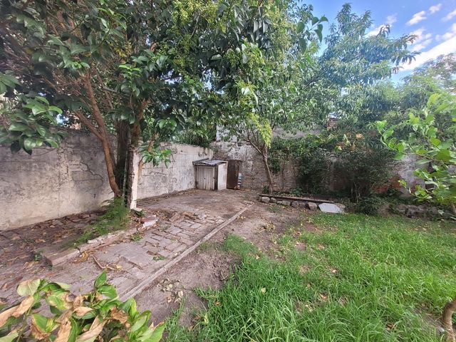 place photo 18