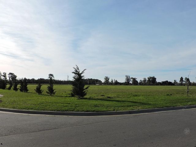 place photo 39