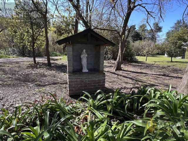 place photo 13