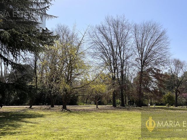 place photo 46