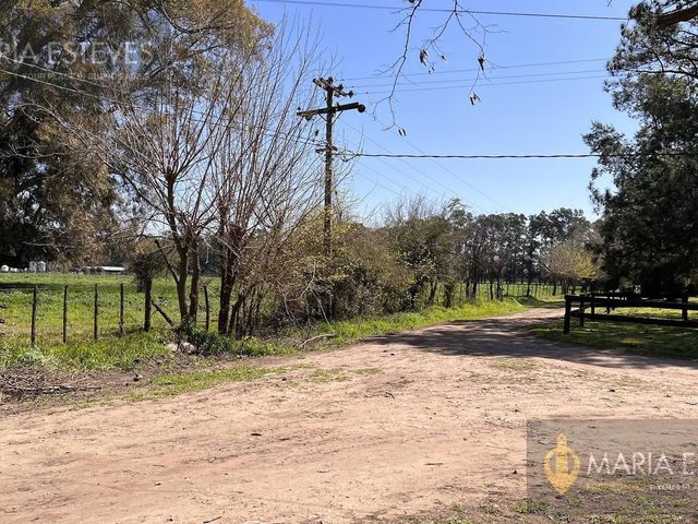 place photo 19