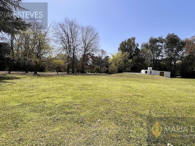 place photo 45
