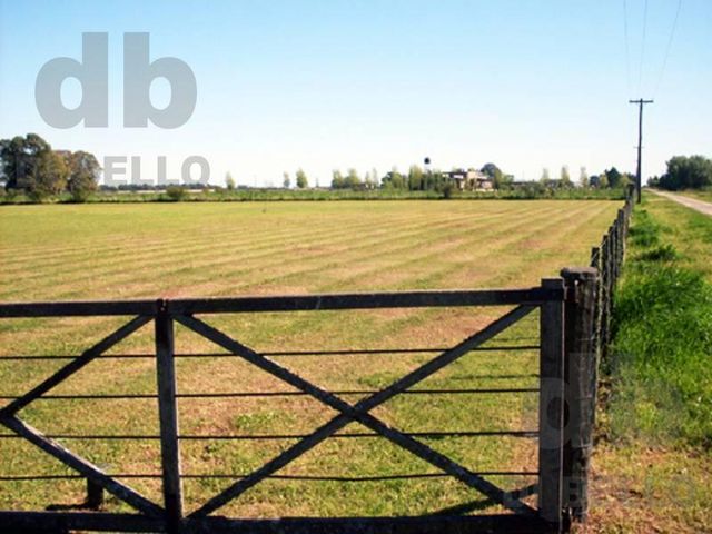 place photo 5