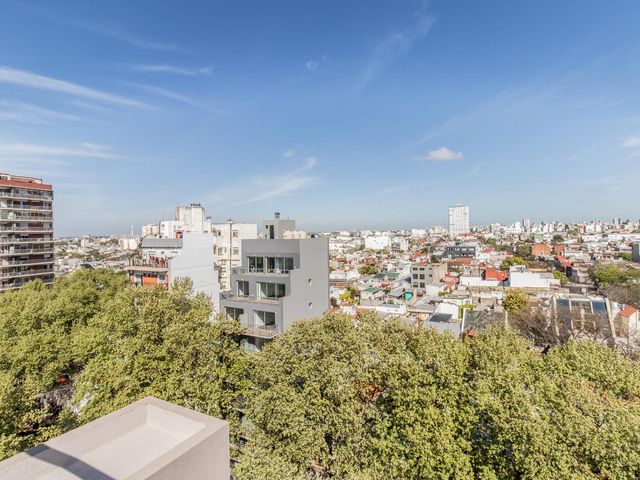 place photo 31