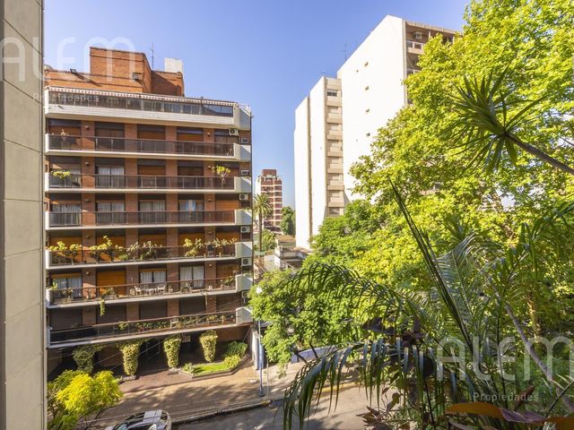 place photo 40