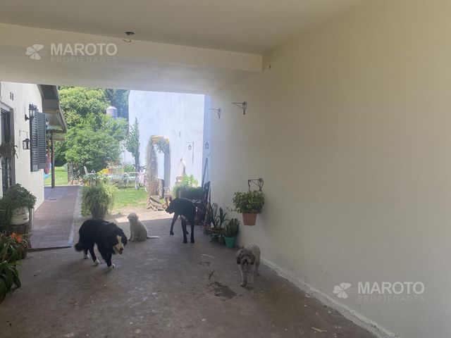place photo 36