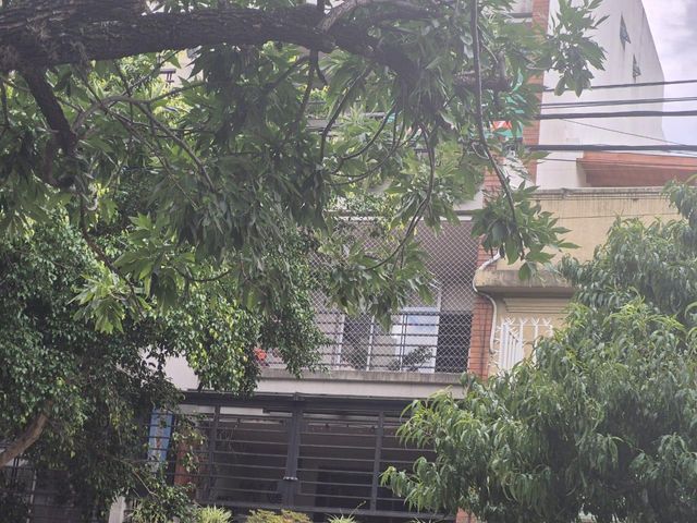 place photo 33