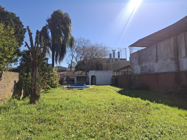 place photo 58