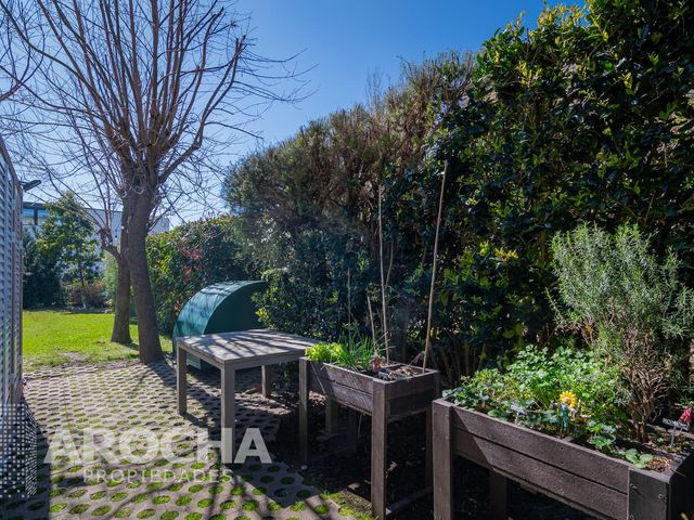 place photo 44