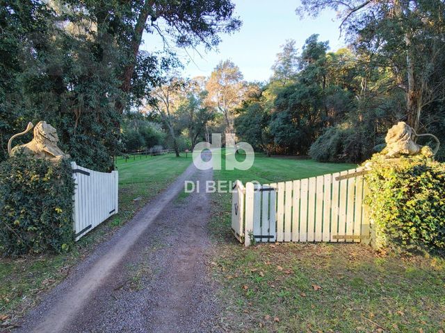 place photo 31