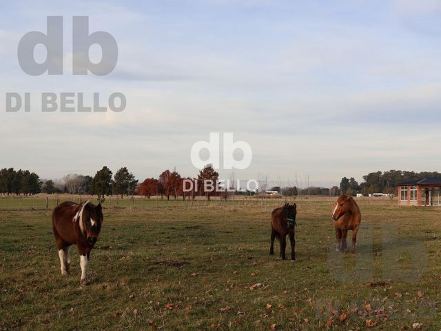 place photo 26